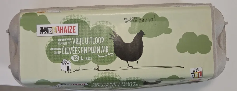 Eieren Van Hennen Met Vrije Uitloop
