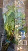Fresh Mint