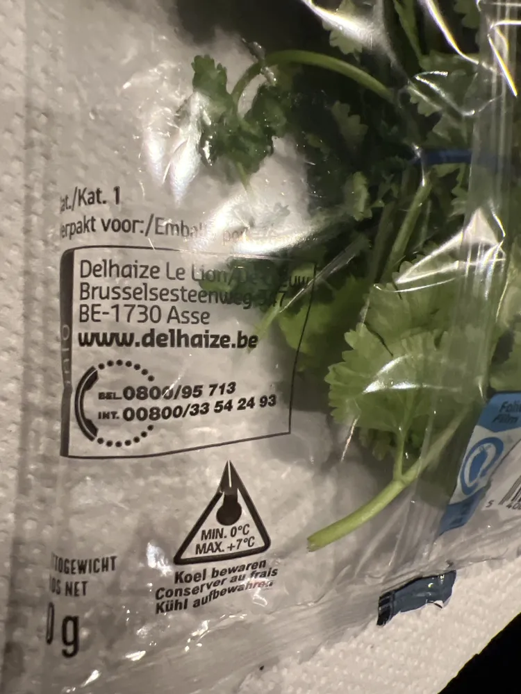 Coriander Leaves