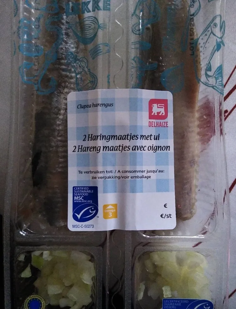 2 Hareng maatjes avec oignon - Clupea harengus