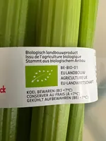 Bio Celery