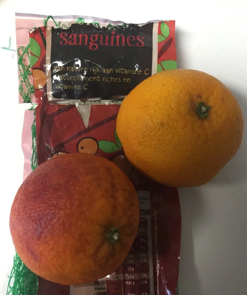 Orange Sanguines