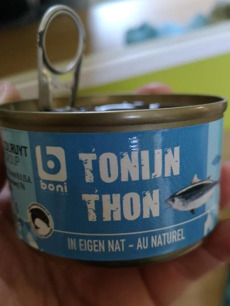 Thon naturel