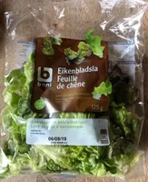Salade feuille de chêne