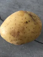 Pomme de terres