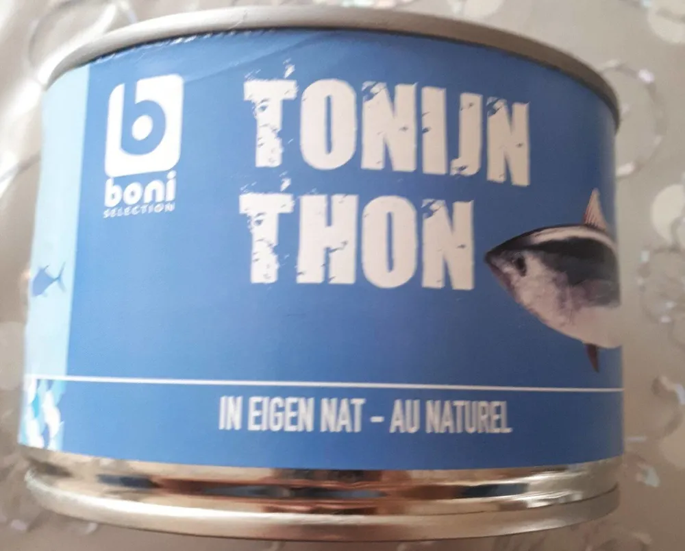 Thon au naturel
