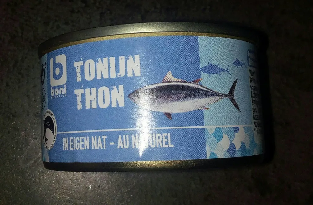 Thon au naturel