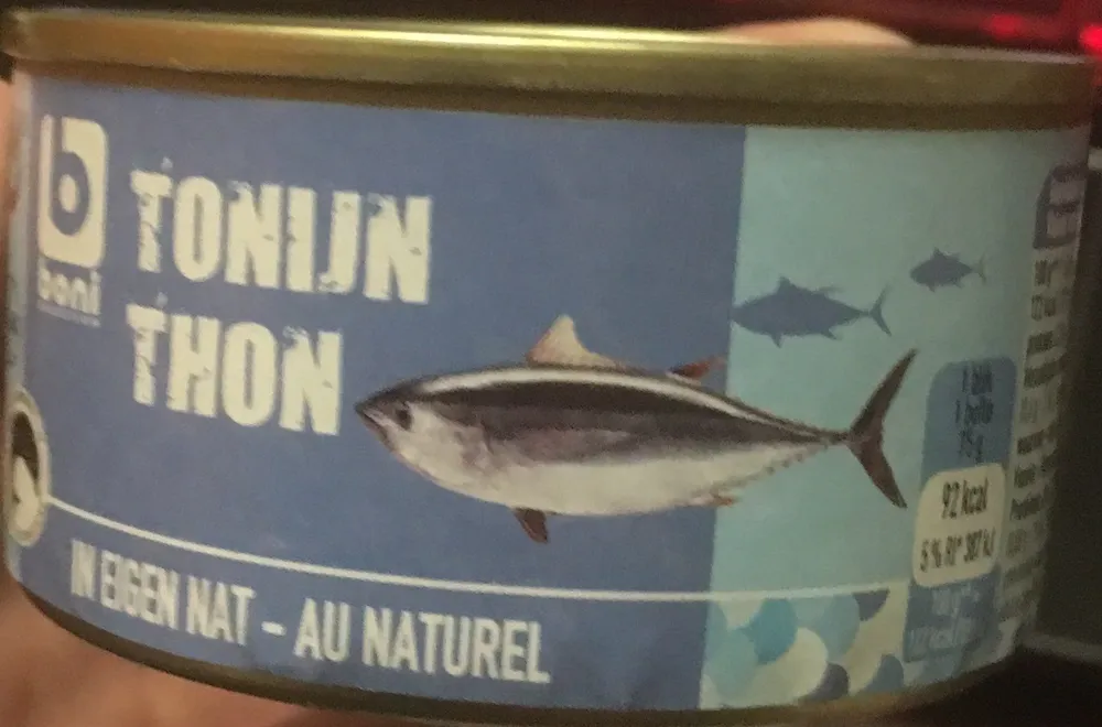 Thon au naturel