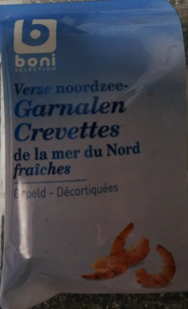 Crevettes grises de la mer du Nord fraîches