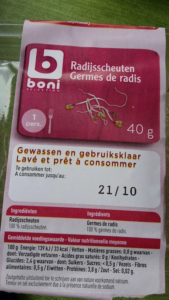 Germes de radis