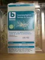 Germes de luzerne
