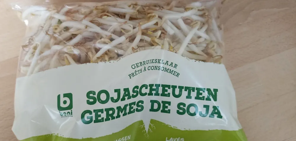 Germes de soja