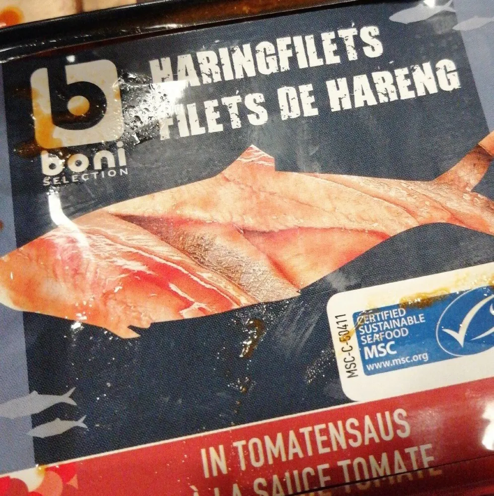 Filet de hareng à la sauce tomate