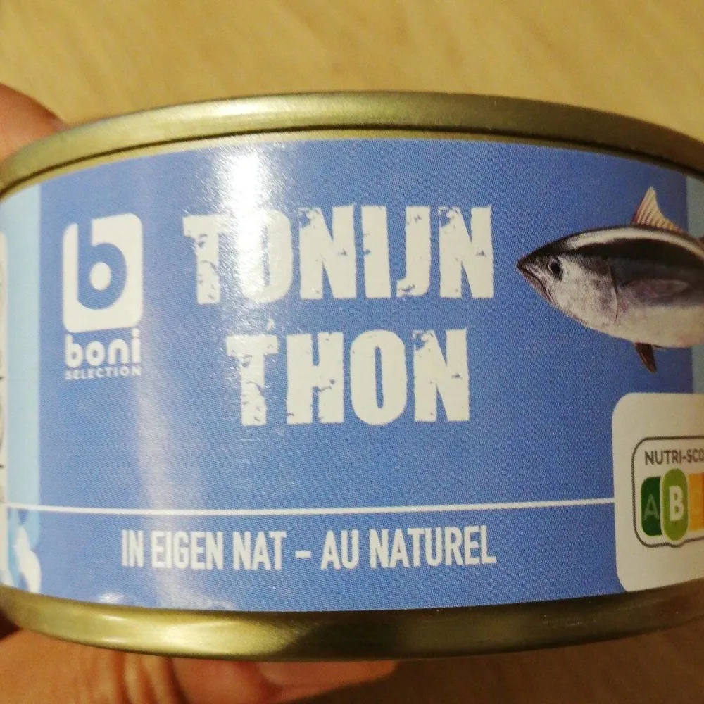 Thon au naturel