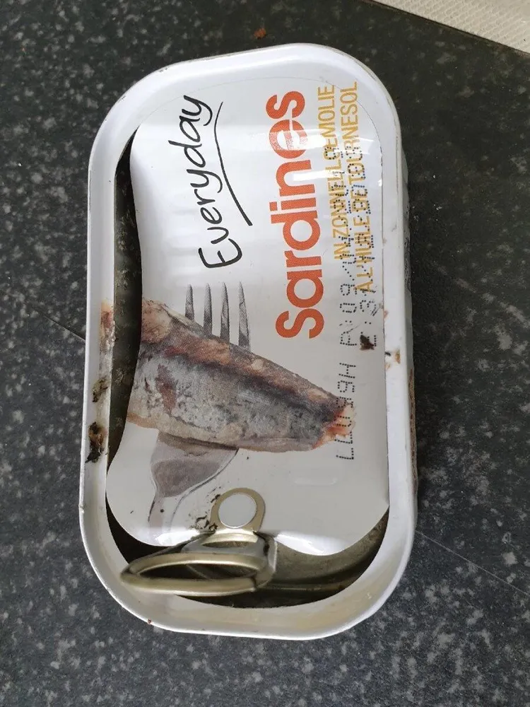 sardines