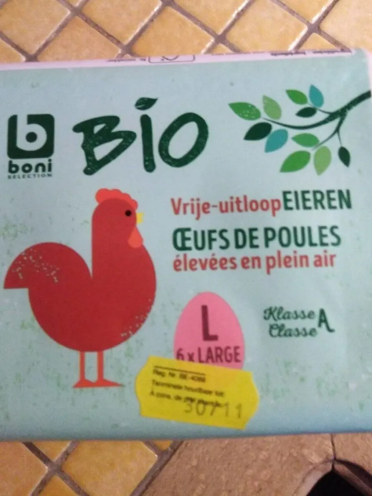 Œuf de poules