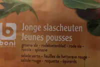 Jonge slascheuten - Jeunes pousses