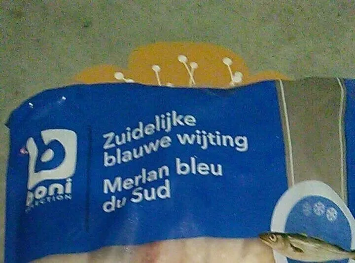 Merlan bleu du sud