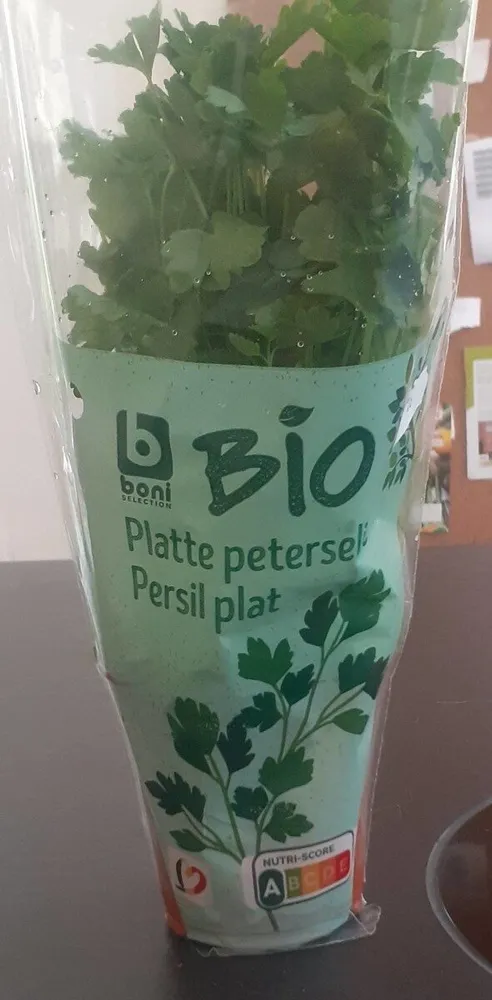 Platte peterselie