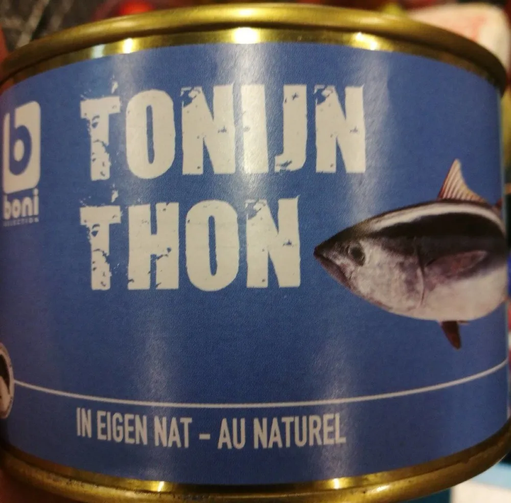 Thon au naturel