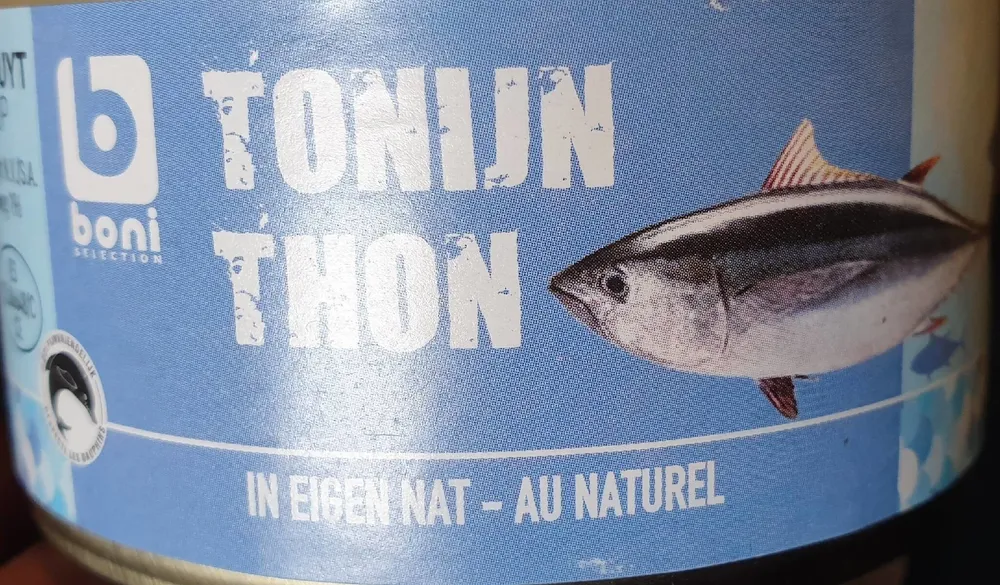 Thon au Naturel