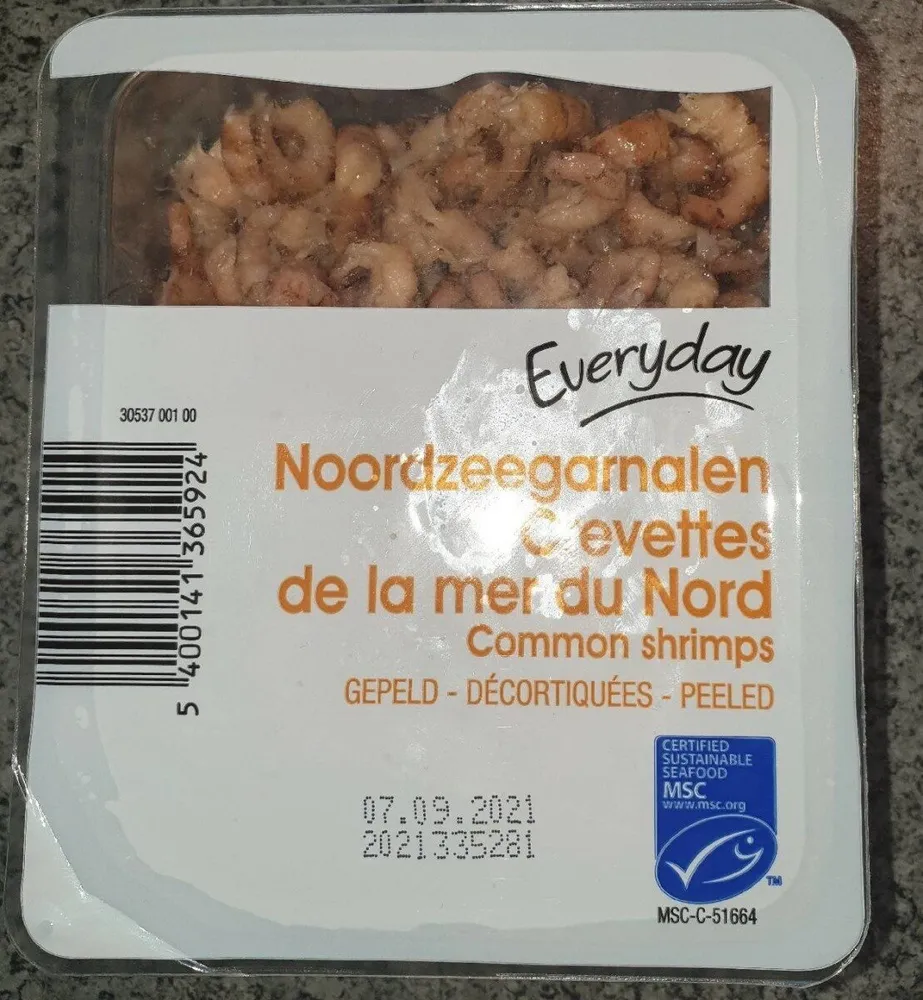 Crevettes de la mer du Nord