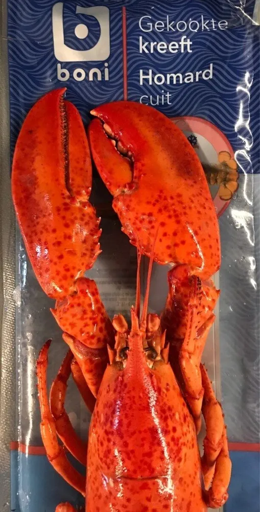 Homard cuit
