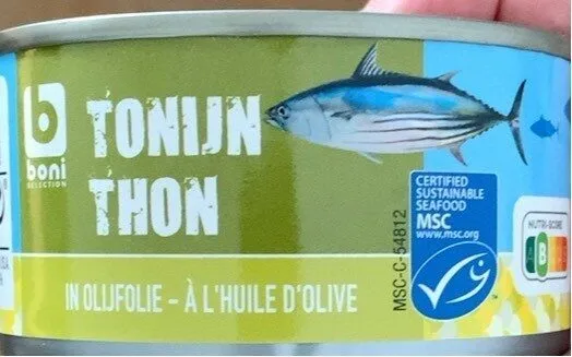 Thon à l'huile d'olive