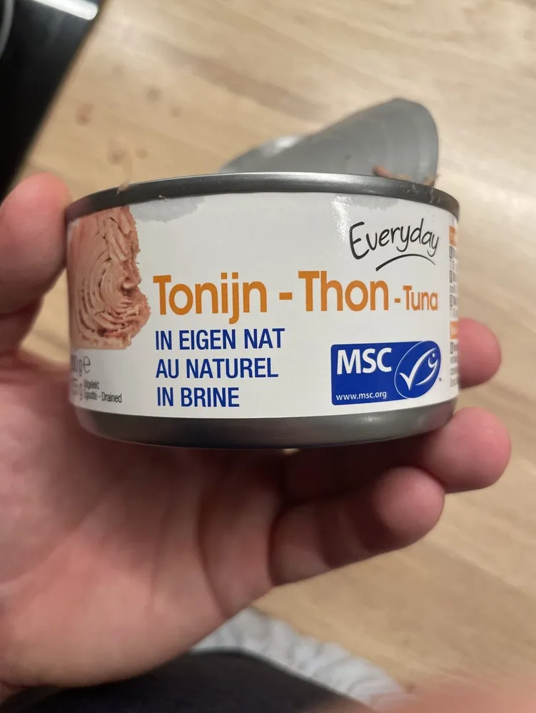 everyday tonijin thon tuna