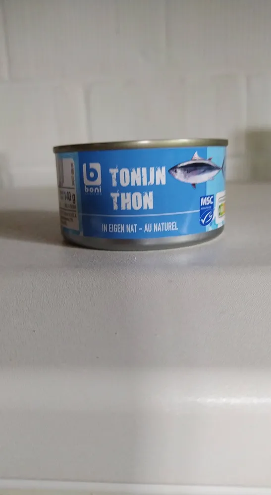 Thon au naturel