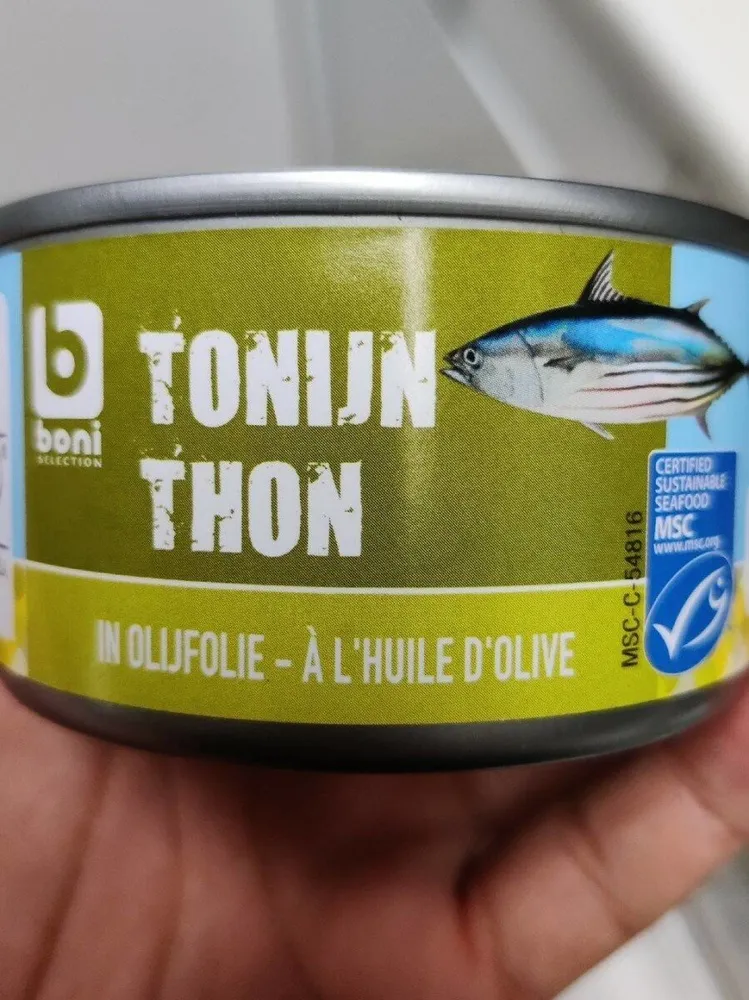 Tonijn Thon à l’huile d’olive