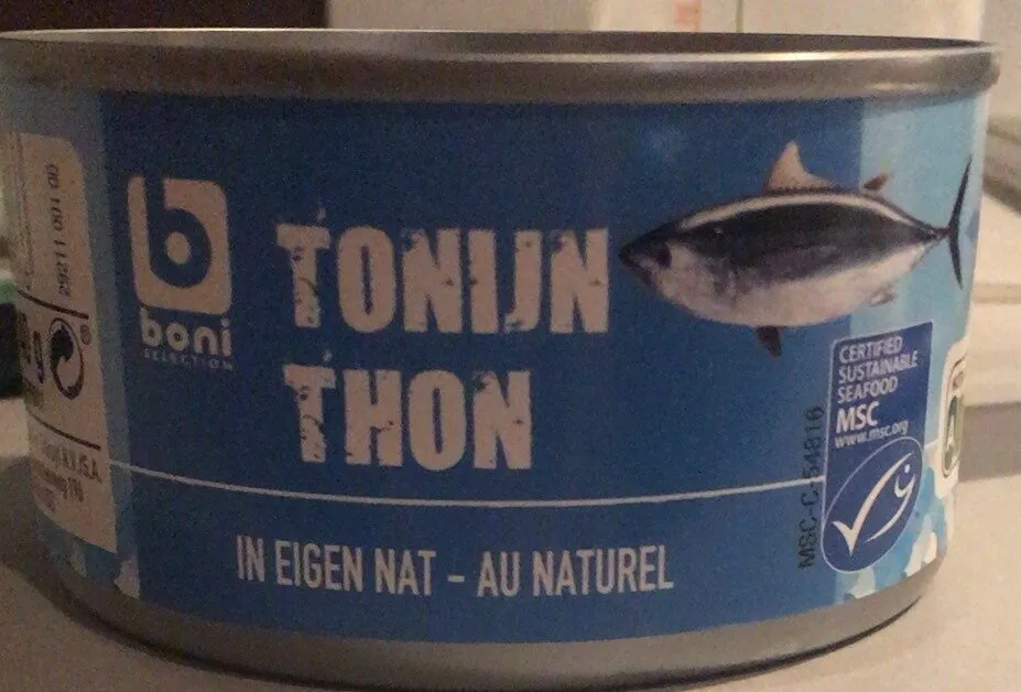Thon naturel