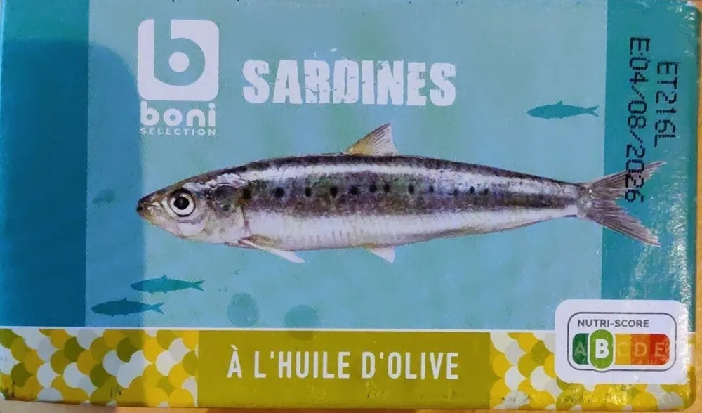 Sardines