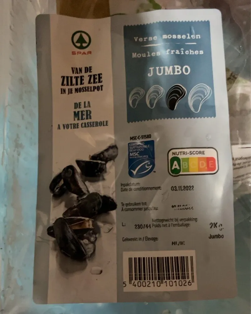 Fresh mussels