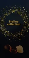 Praline collection