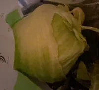 Salade iceberg