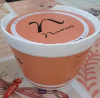 Sorbet Melon
