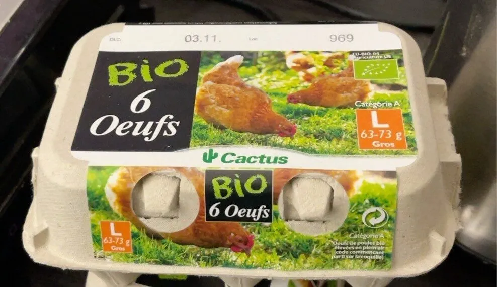 Bio Eier