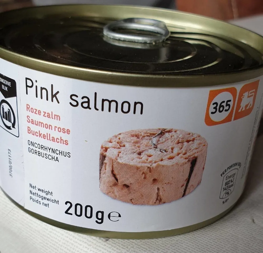Pink salmon
