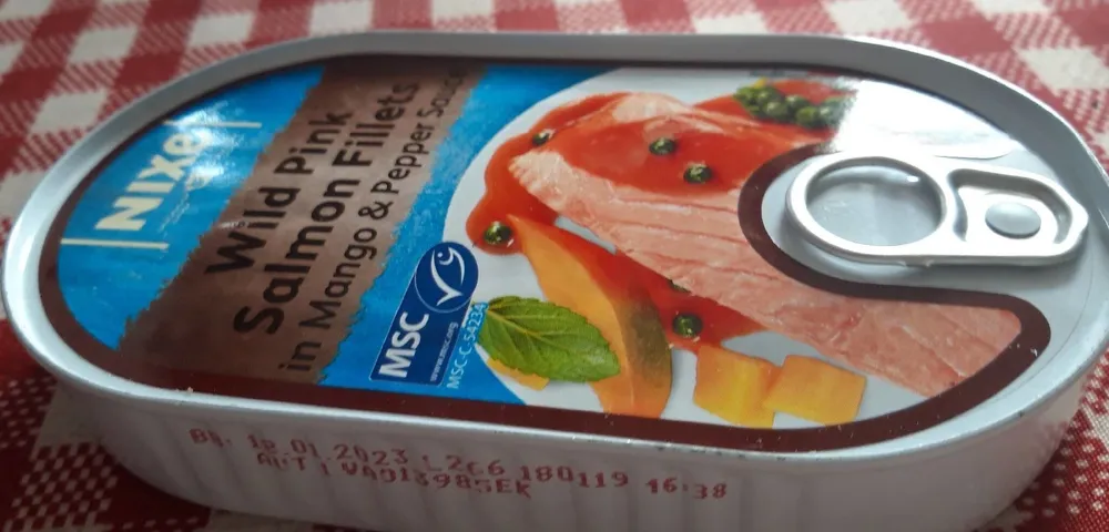 Poisson saumon