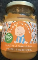 Panade Carotte et Chou-fleur