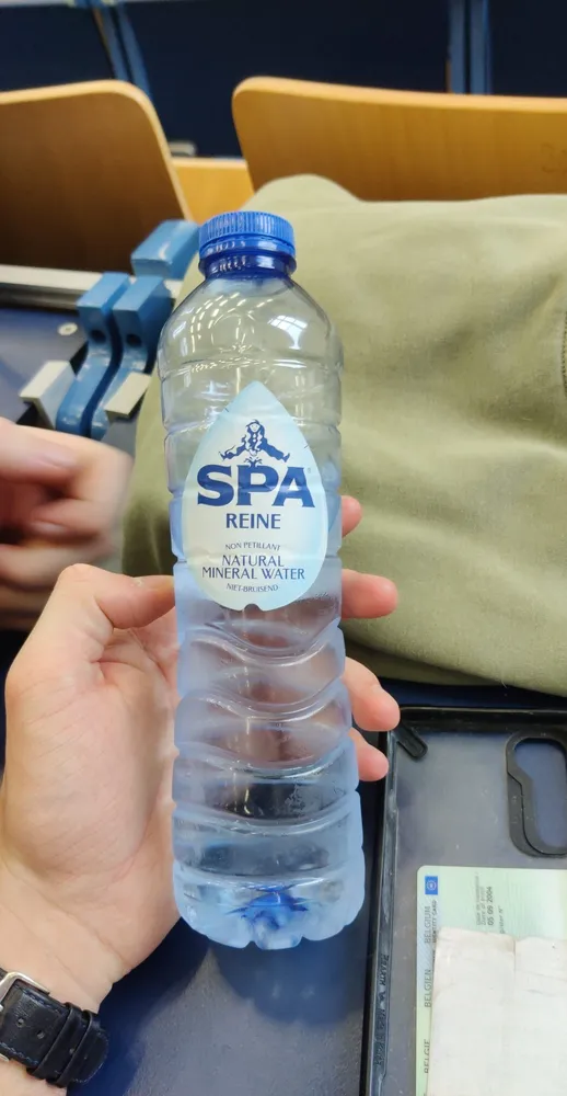 Spa Reine