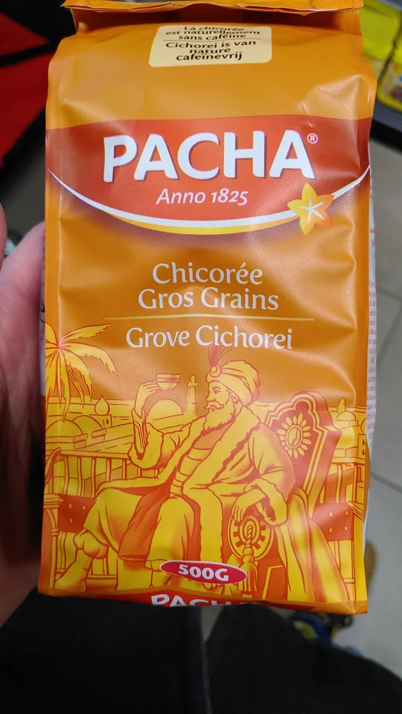 Chicoree gros grains