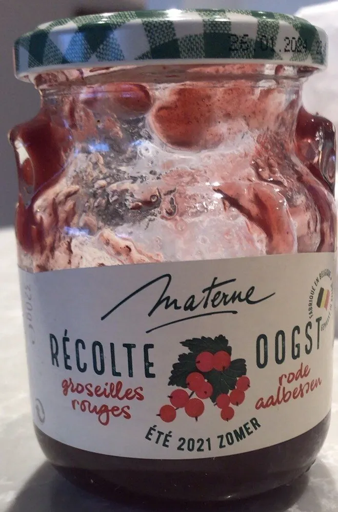 Récolte groseilles rouges