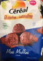 Mini muffins cacao