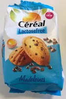 Madeleines met chocoladestukjes