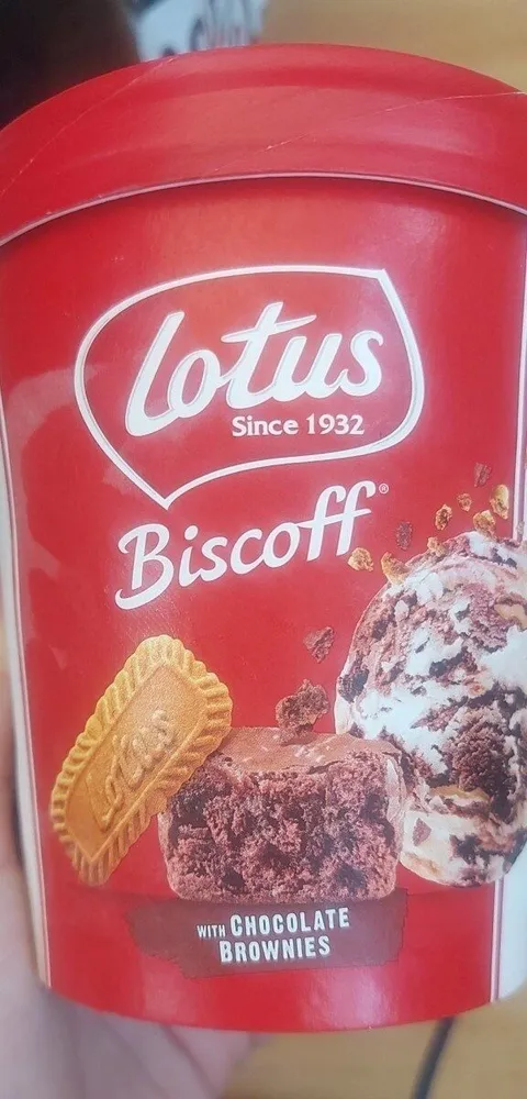 Biscoff with chocolate brownies