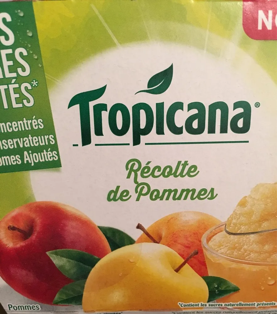 Récolte de pommes