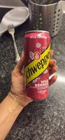 Schweppes Russchian aux saveurs de baies sauvages