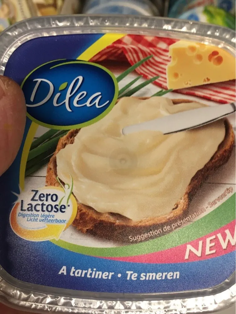Fromage à tartiner